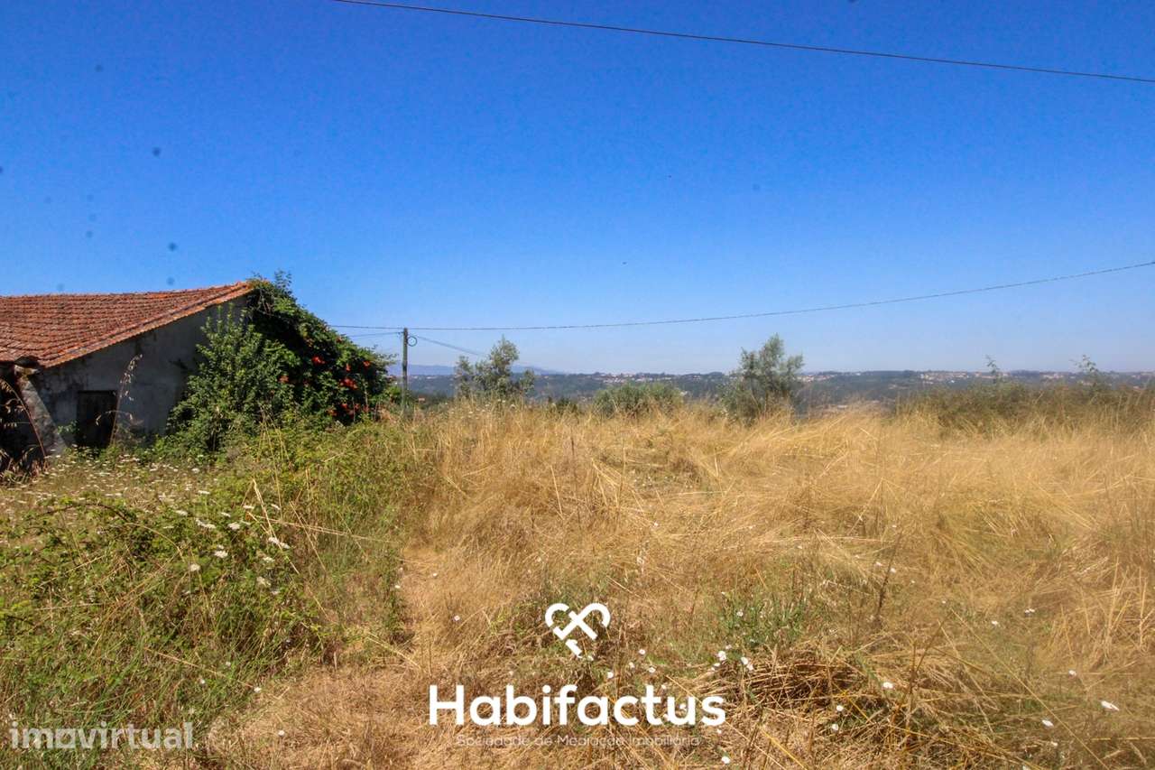 Quinta para Venda em Mangualde - Grande imagem: 3/16