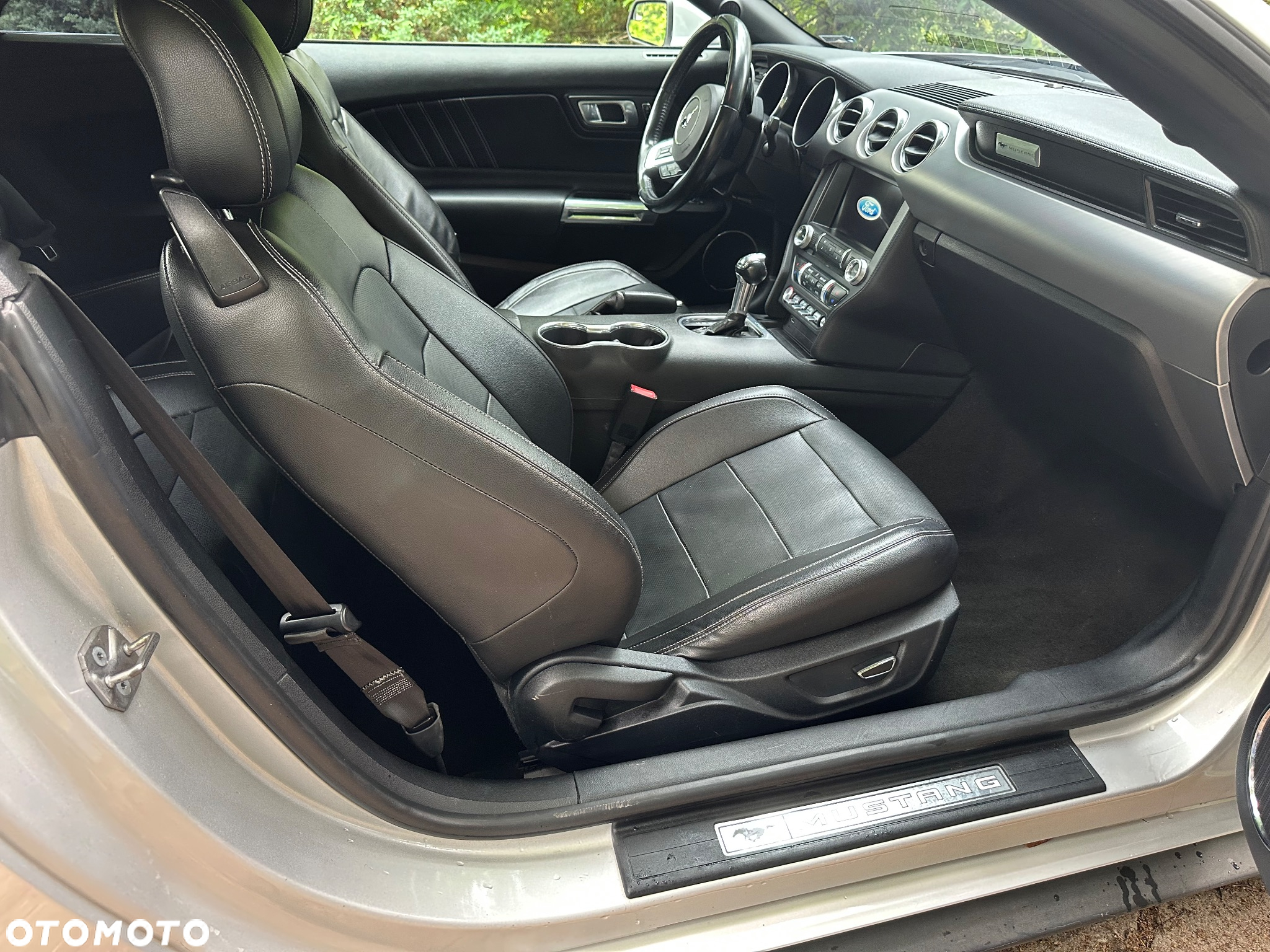 Ford Mustang 2.3 EcoBoost - 17