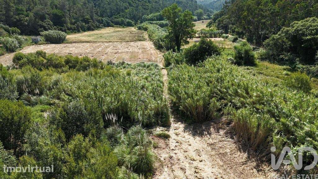 Terreno em Carvoeira de 2500,00 m2 - Grande imagem: 5/22