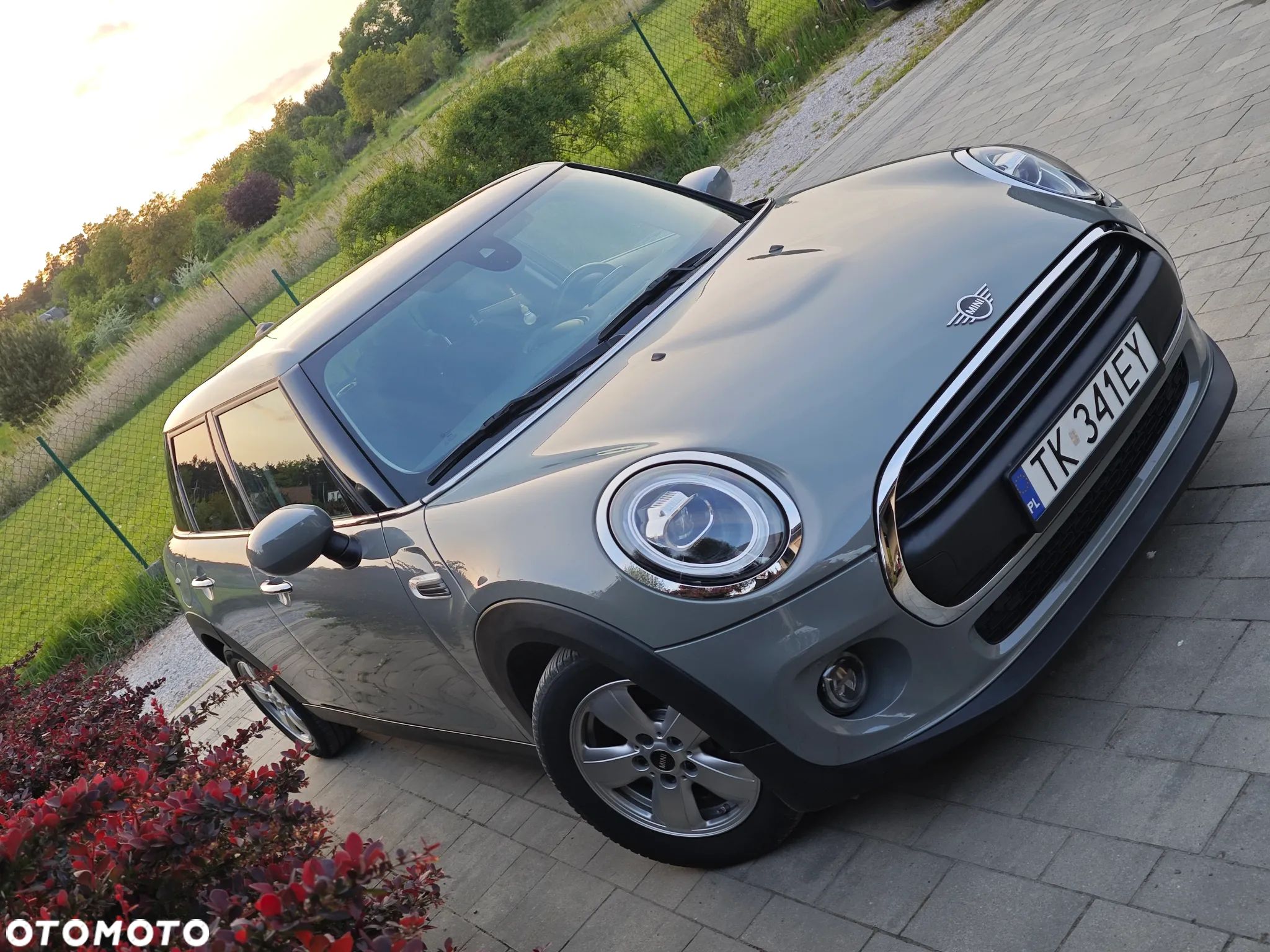MINI ONE - 1