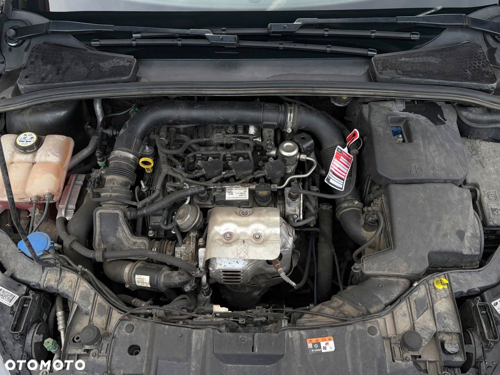 Ford Focus - 36