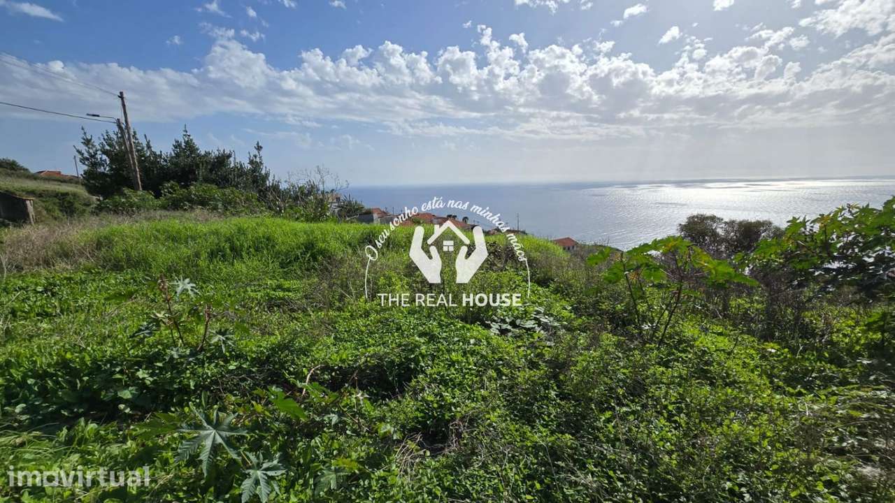 TERRENO VISTA MAR CALHETA - Grande imagem: 4/6