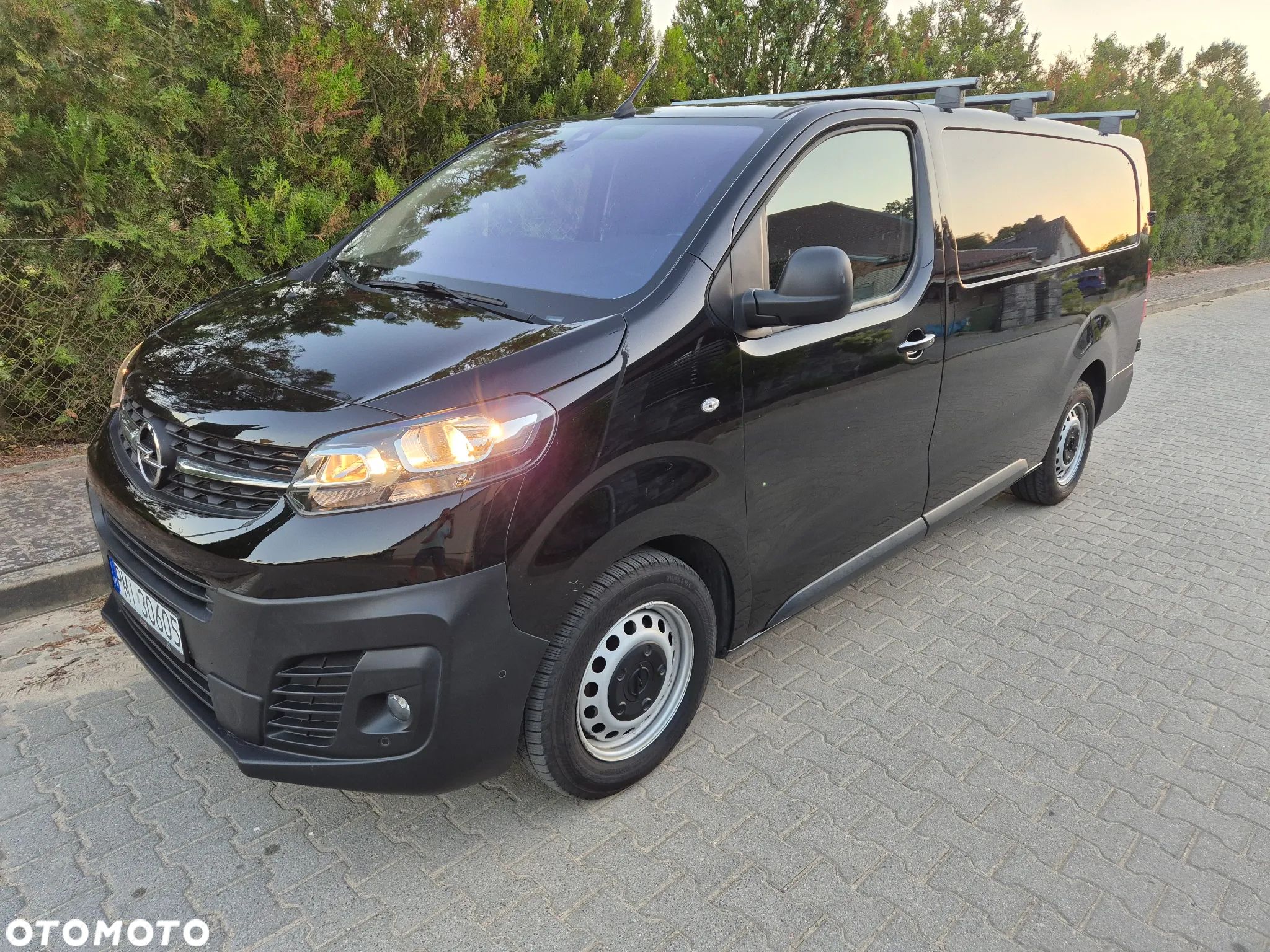 Opel Vivaro - 1