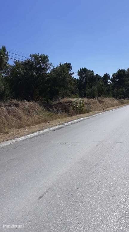 Azeitão Terreno com 10.000 m2 de gaveto. - Grande imagem: 3/9