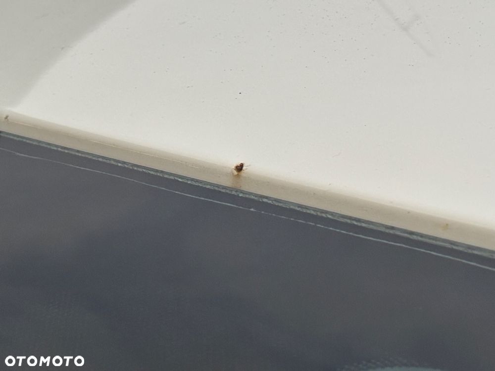 Fiat Freemont 2.0 Multijet Urban AWD - 15