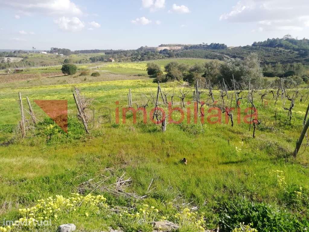 Terreno com Moinho - Grande imagem: 2/7