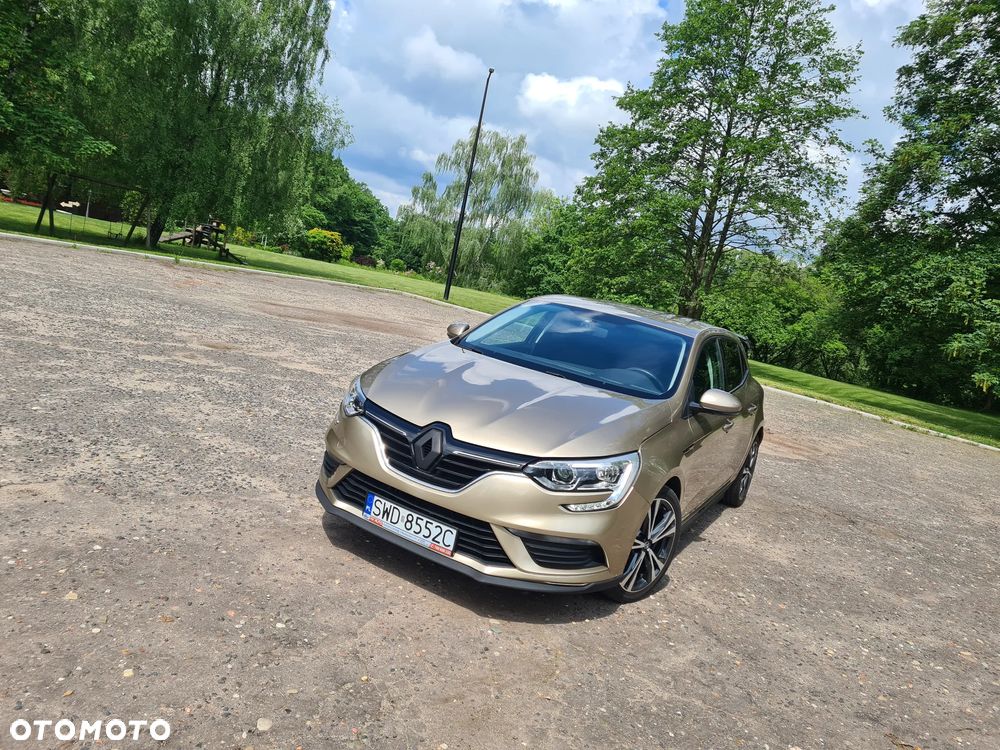Renault Megane - 18