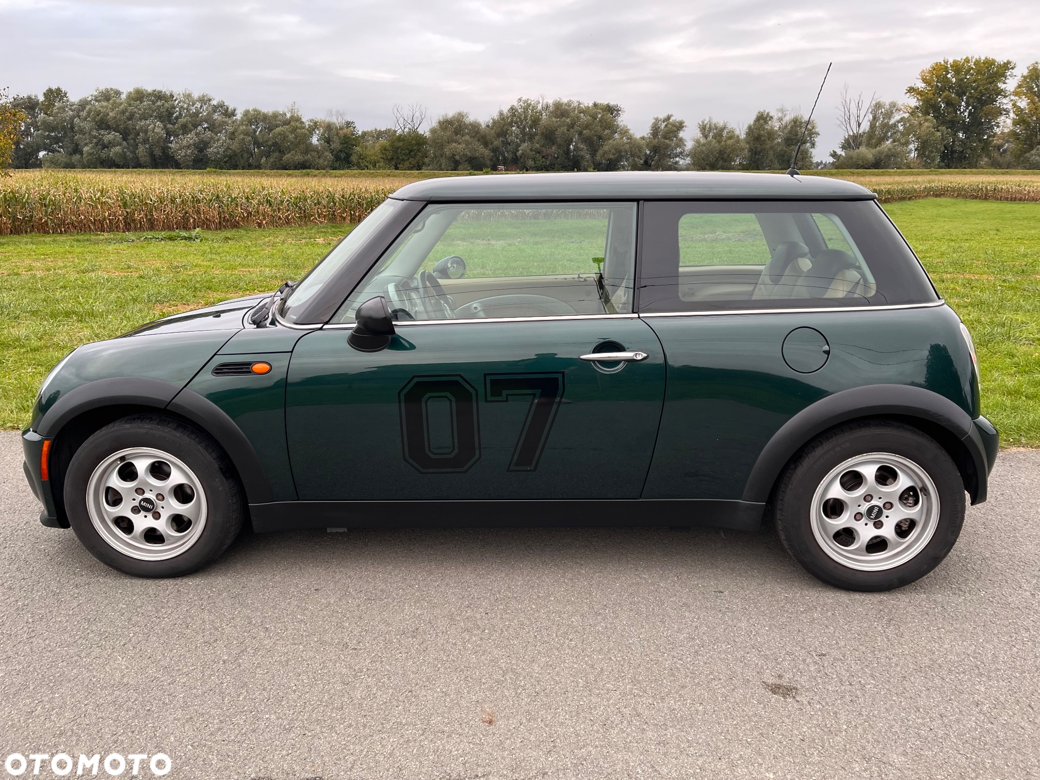 MINI ONE salt - 14
