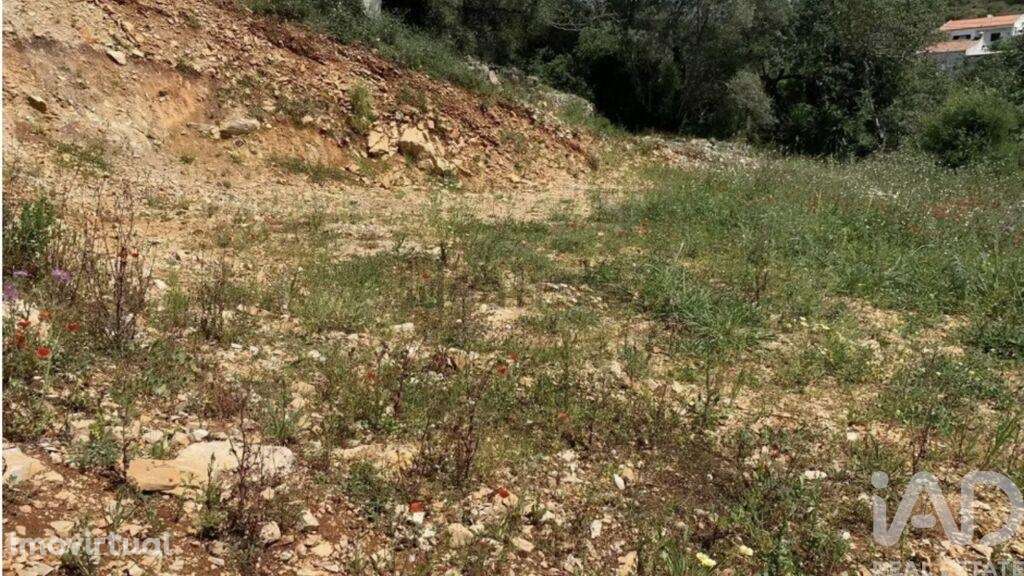 Terreno em Loulé (São Sebastião) - Grande imagem: 4/4