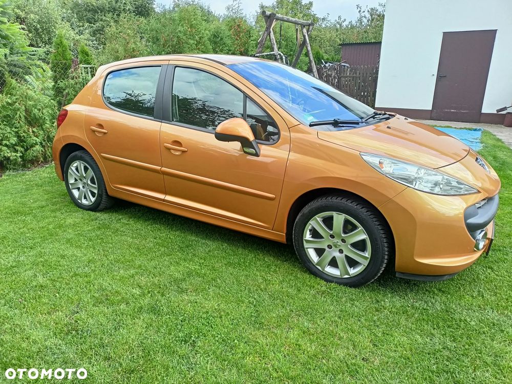 Peugeot 207 - 12