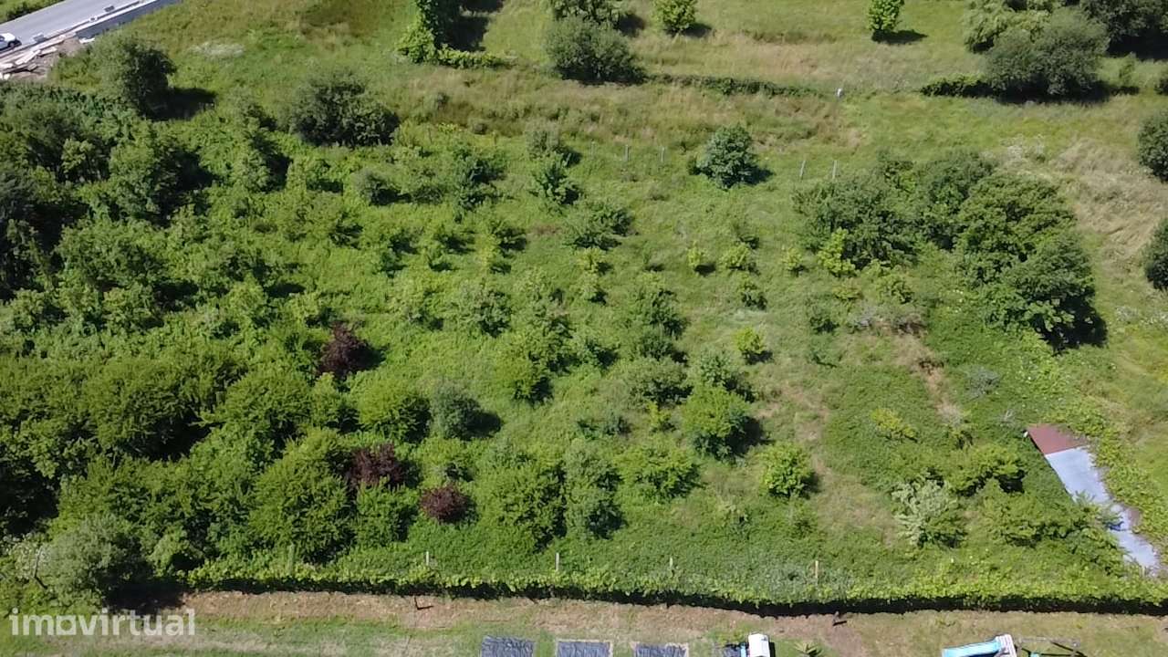 Terreno Rústico  Venda em Carvalhais e Candal,São Pedro do Sul - Grande imagem: 3/9