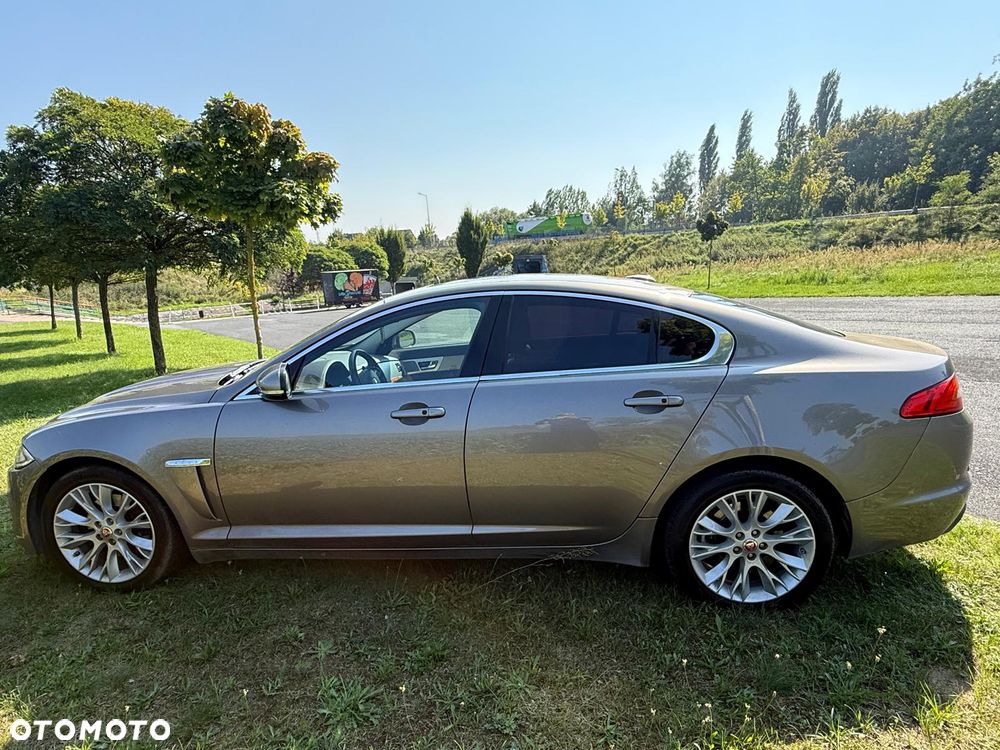 Jaguar XF 3.0 V6 D Luxury - 5