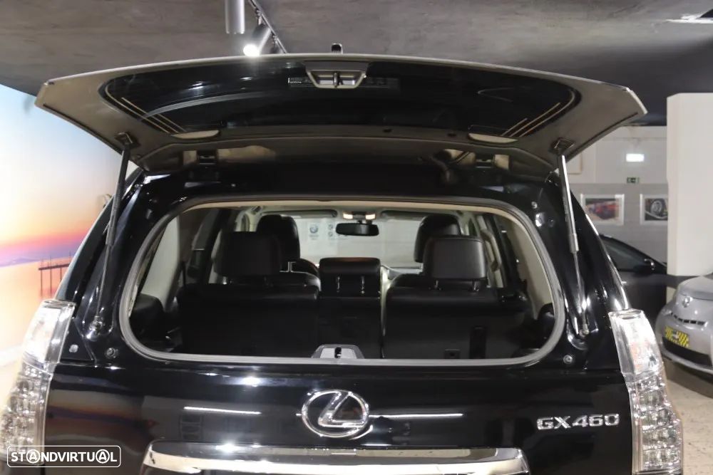 Lexus GX 460 - 19