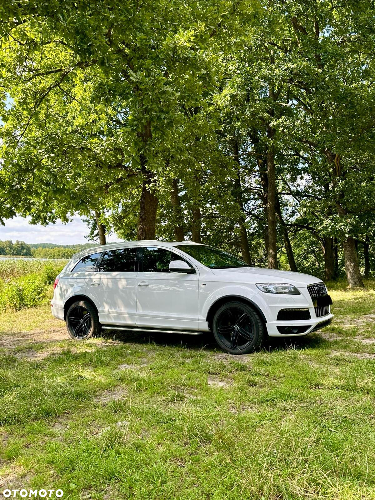 Audi Q7 4.2 TDI DPF Quattro Tiptronic - 24