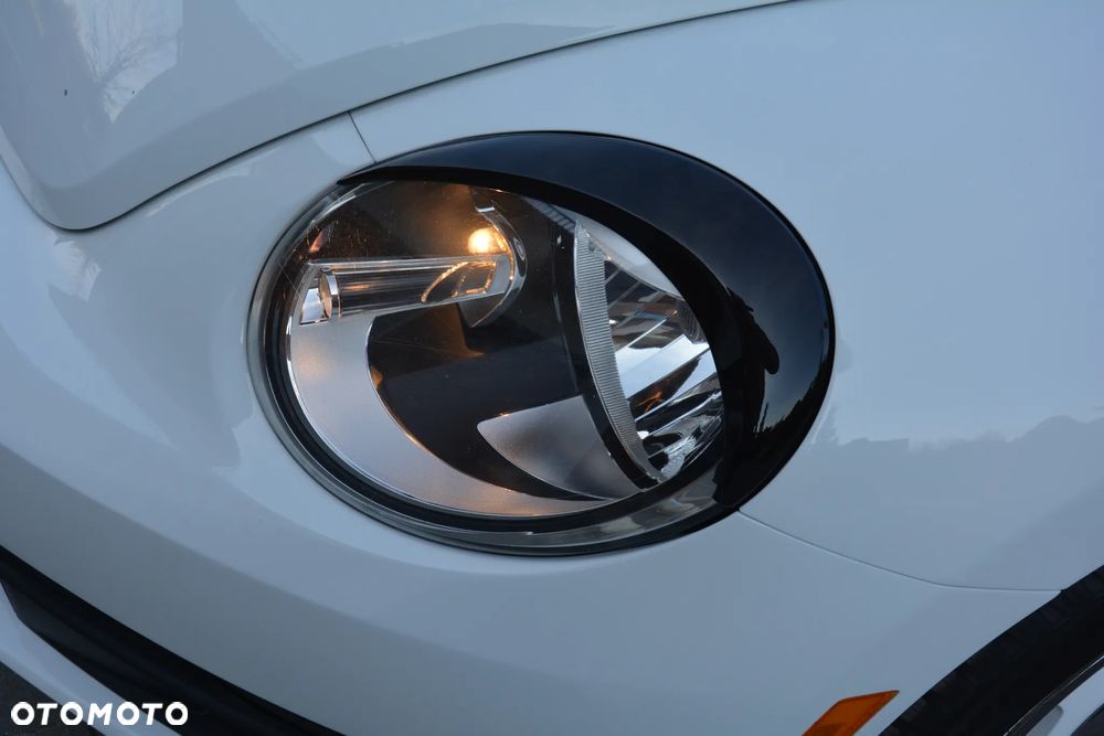 Volkswagen Beetle - 30