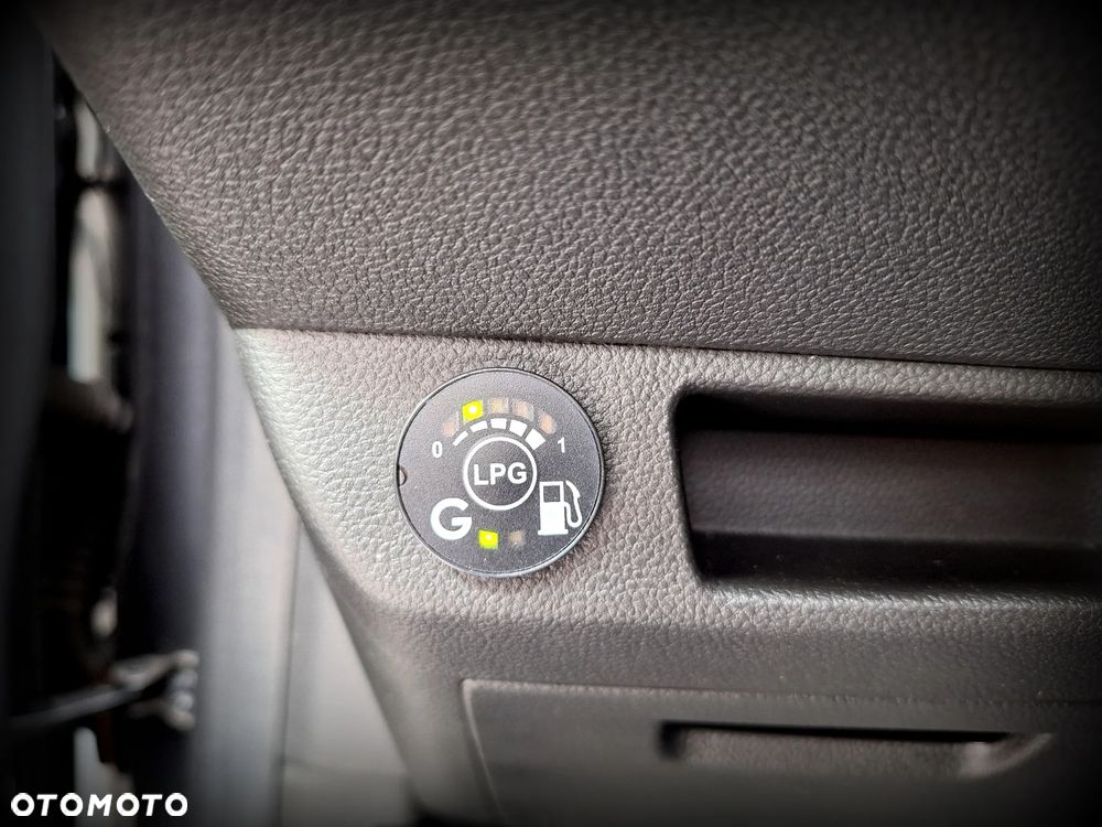 Renault Clio - 15