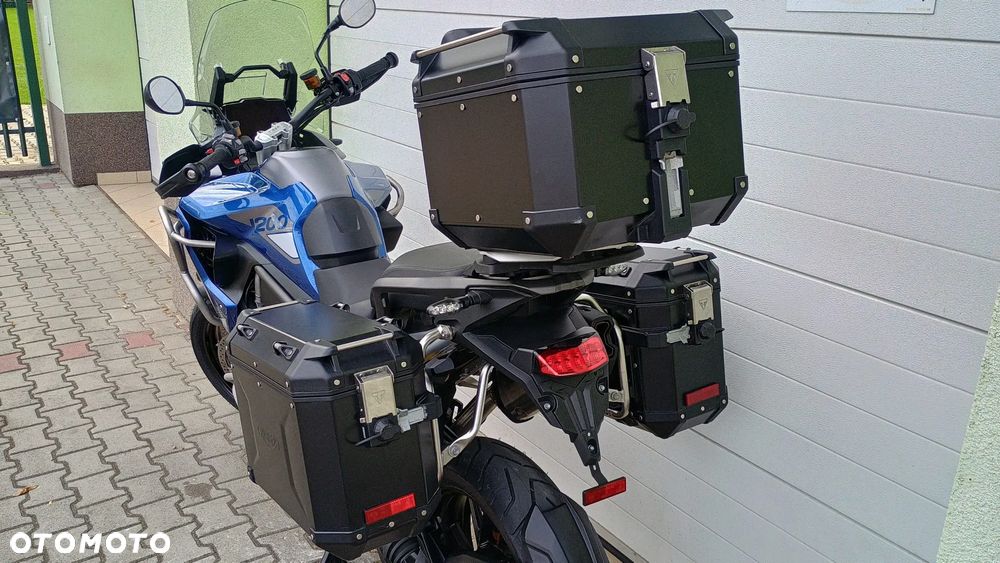 Triumph Tiger - 19