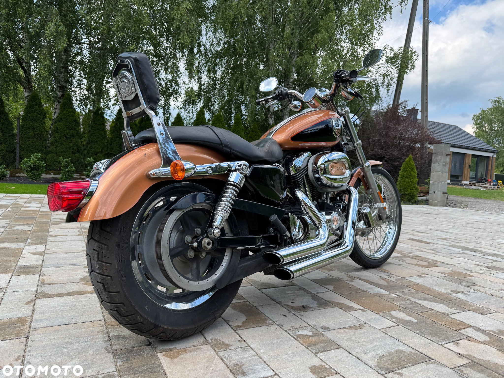 Harley-Davidson Sportster Custom 1200C - 2