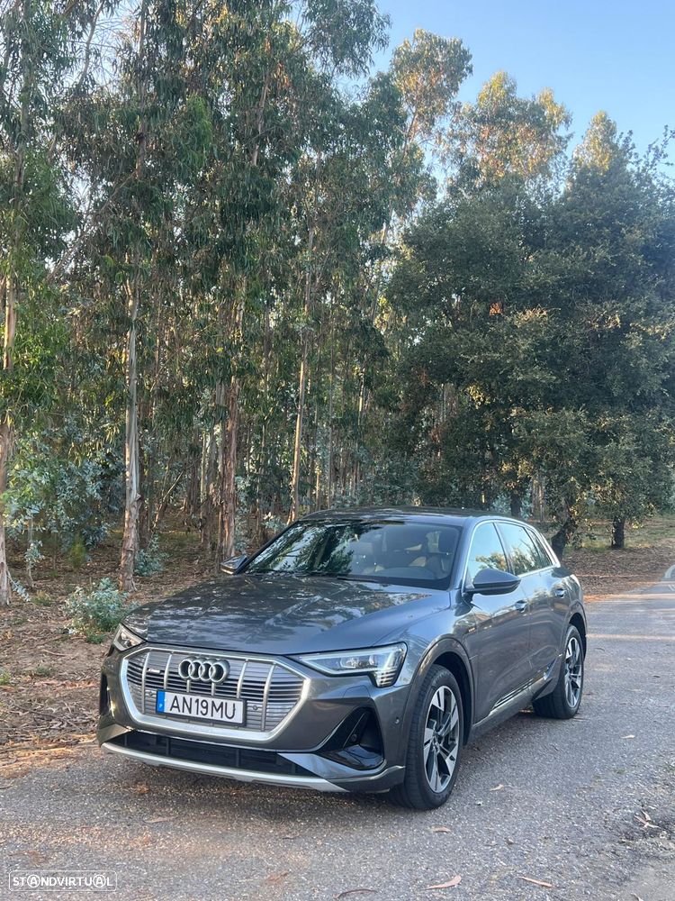 Audi e-tron 55 quattro S line - 16