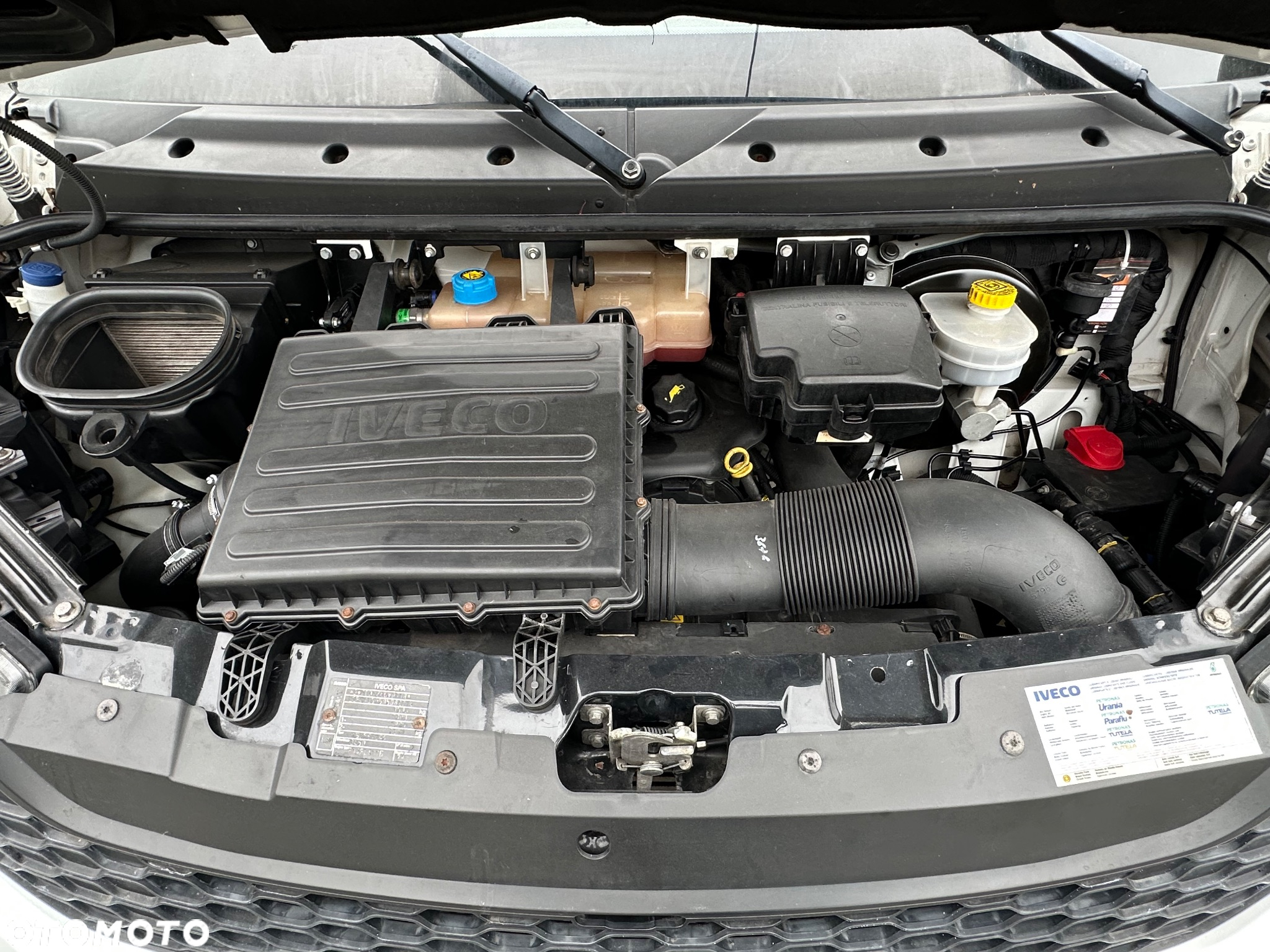 Iveco daily - 23