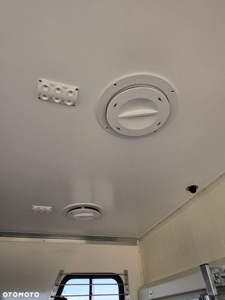 Renault Master Koniowóz - 36