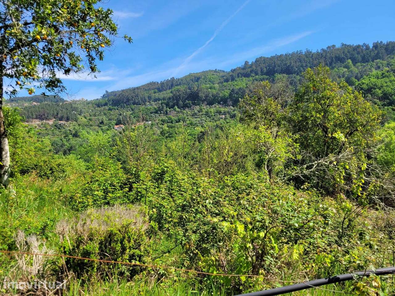 Moradia T1 Venda em Cinfães,Cinfães - Grande imagem: 4/9