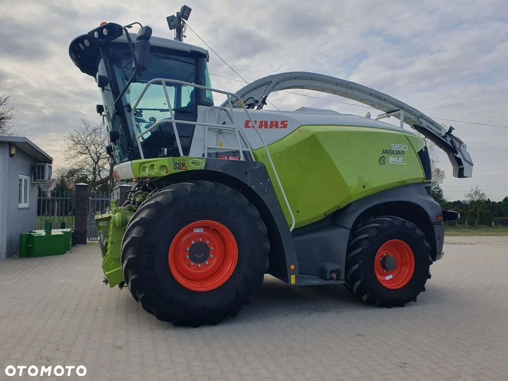 Claas Jaguar 950 - 7