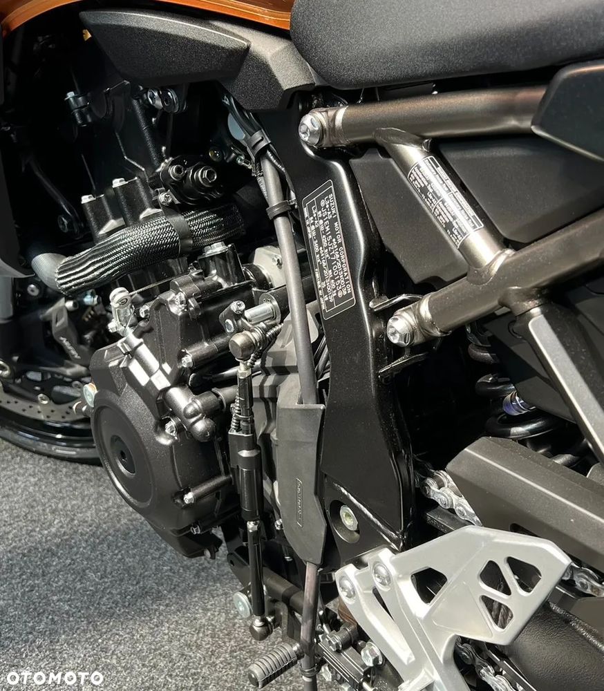 Suzuki T - 13