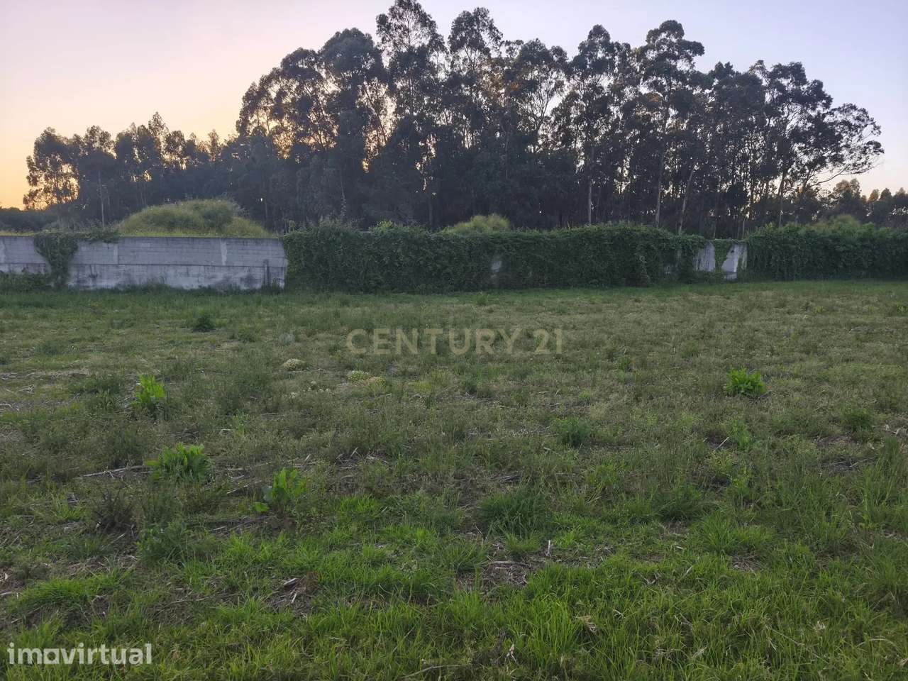 Terreno com elevado potencial de valorização, ideal para investidores - Grande imagem: 5/26