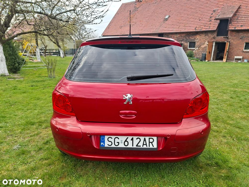 Peugeot 307 140 Sport - 3