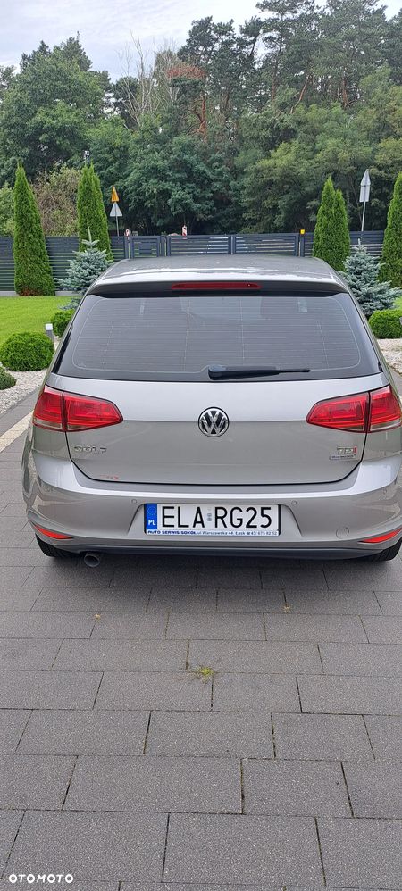 Volkswagen Golf 1.6 TDI BlueMot Trendline - 16