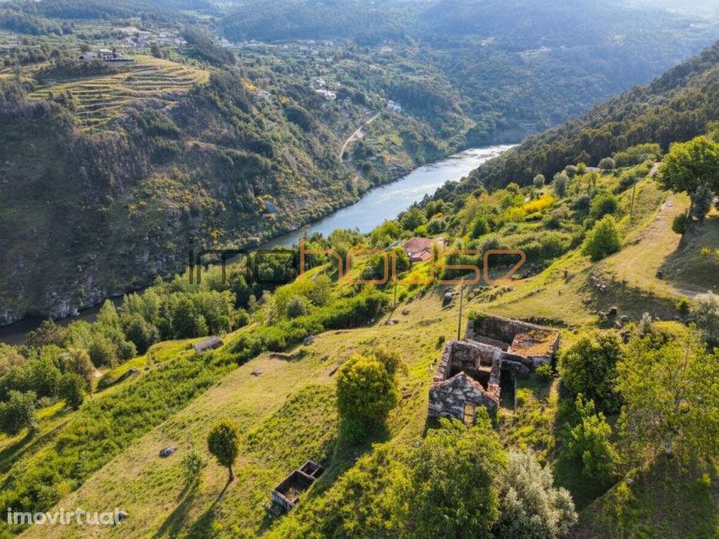 Quintinha com vista fabulosa para o Douro - Grande imagem: 4/33