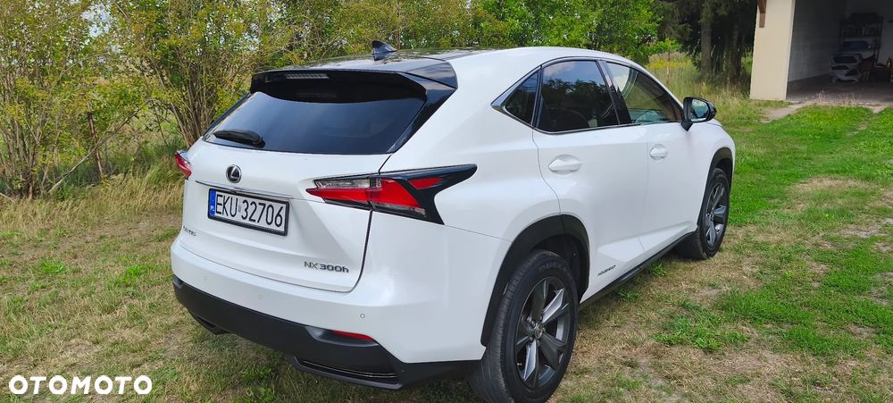 Lexus NX - 4