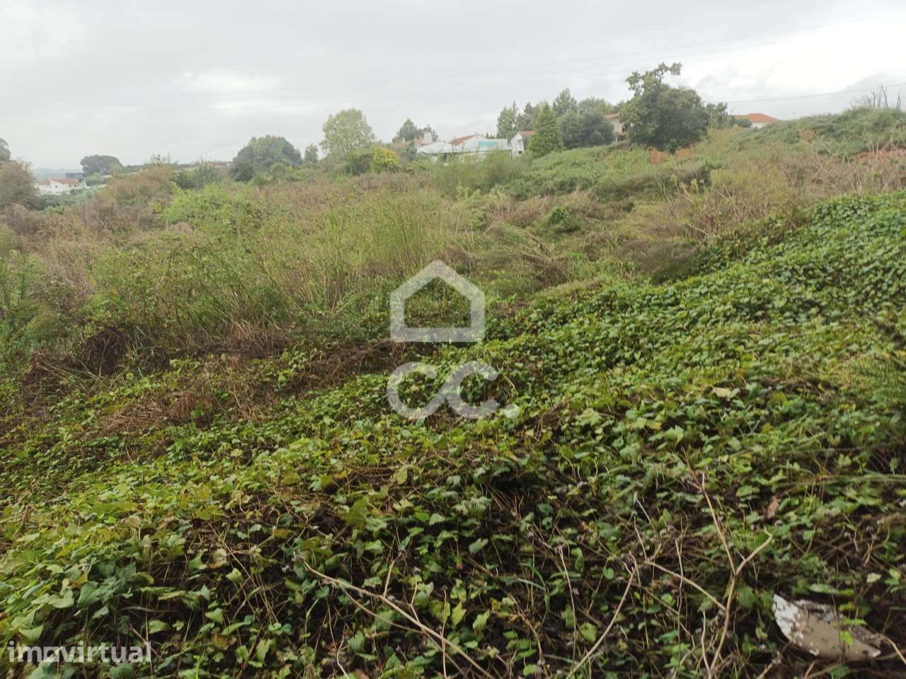 Terreno em Serzedelo - Guimarães - Grande imagem: 2/14