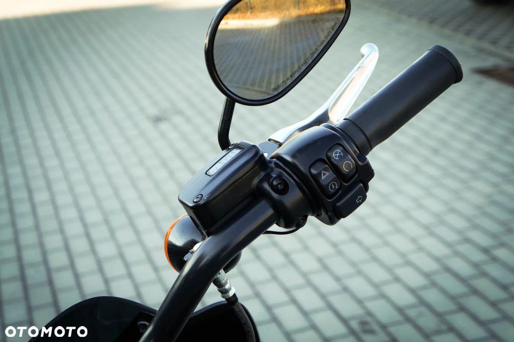 Harley-Davidson Inny - 20