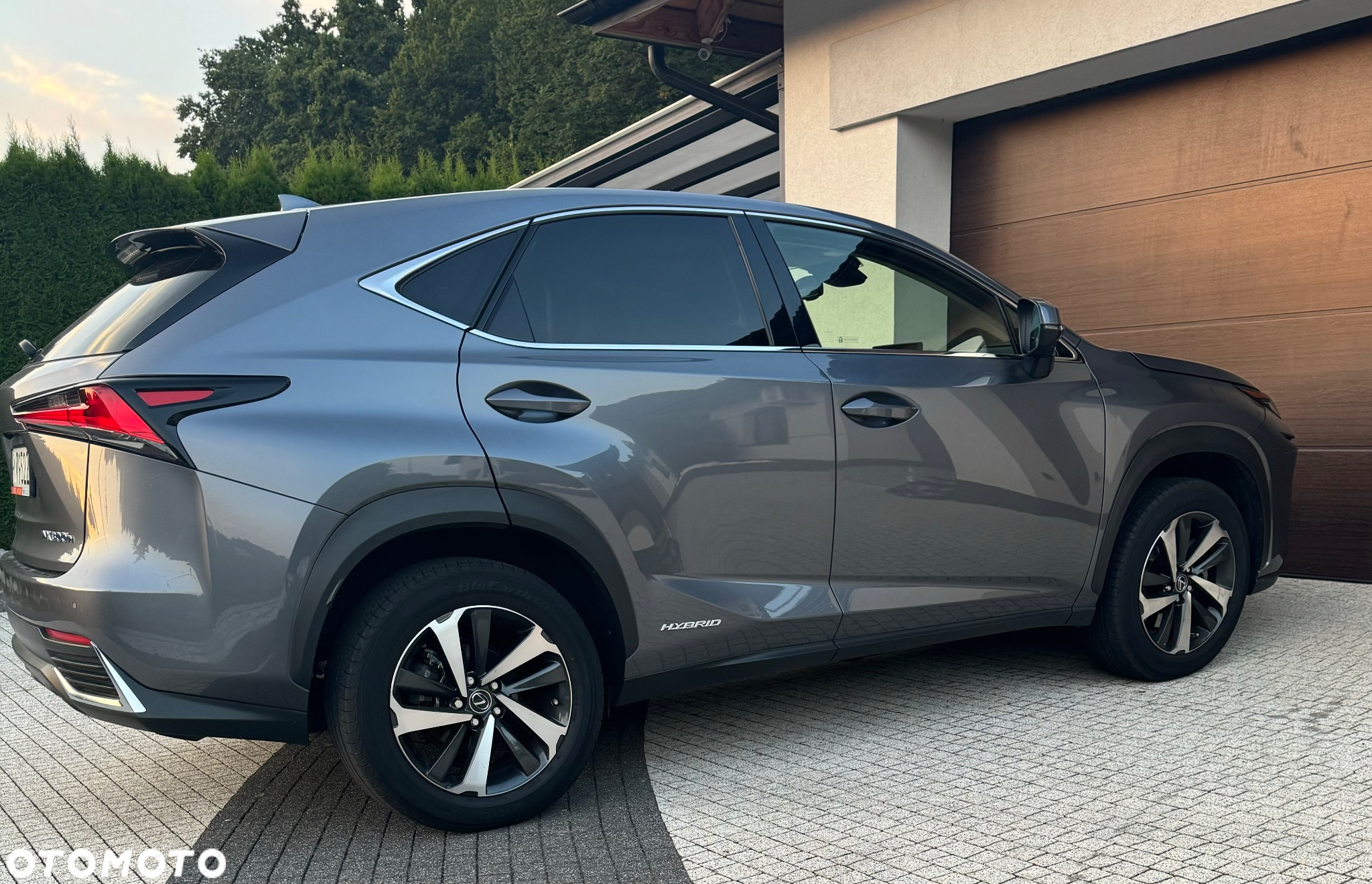 Lexus NX 300h Business Edition AWD - 2