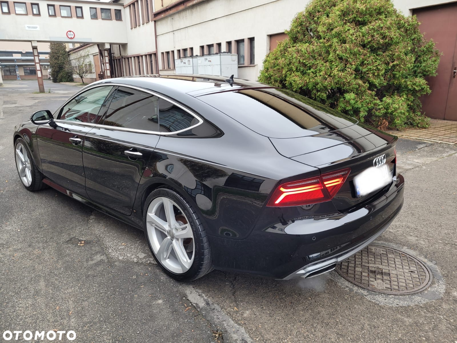 Audi A7 Sportback 50 TDI quattro tiptronic - 3