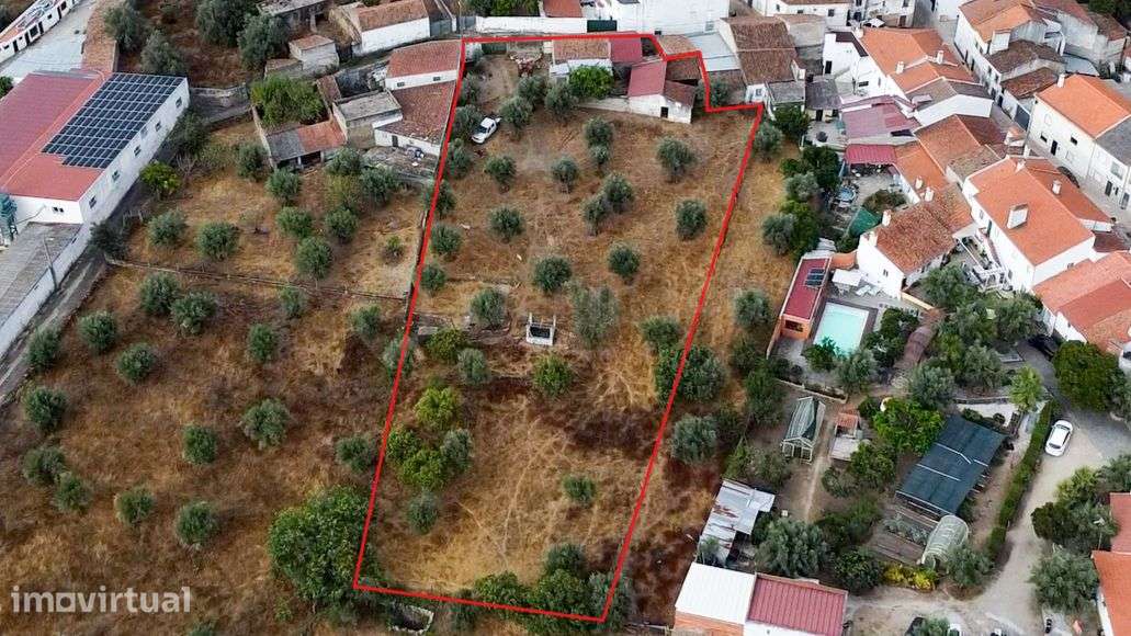 Terreno urbano e rústico com 2.747 m² em Tolosa, Nisa - Grande imagem: 4/17