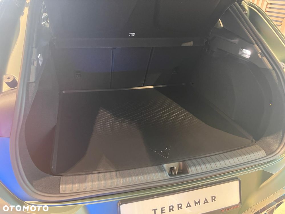 Cupra Terramar 2.0 TSI 4Drive Tribe Edition DSG - 30