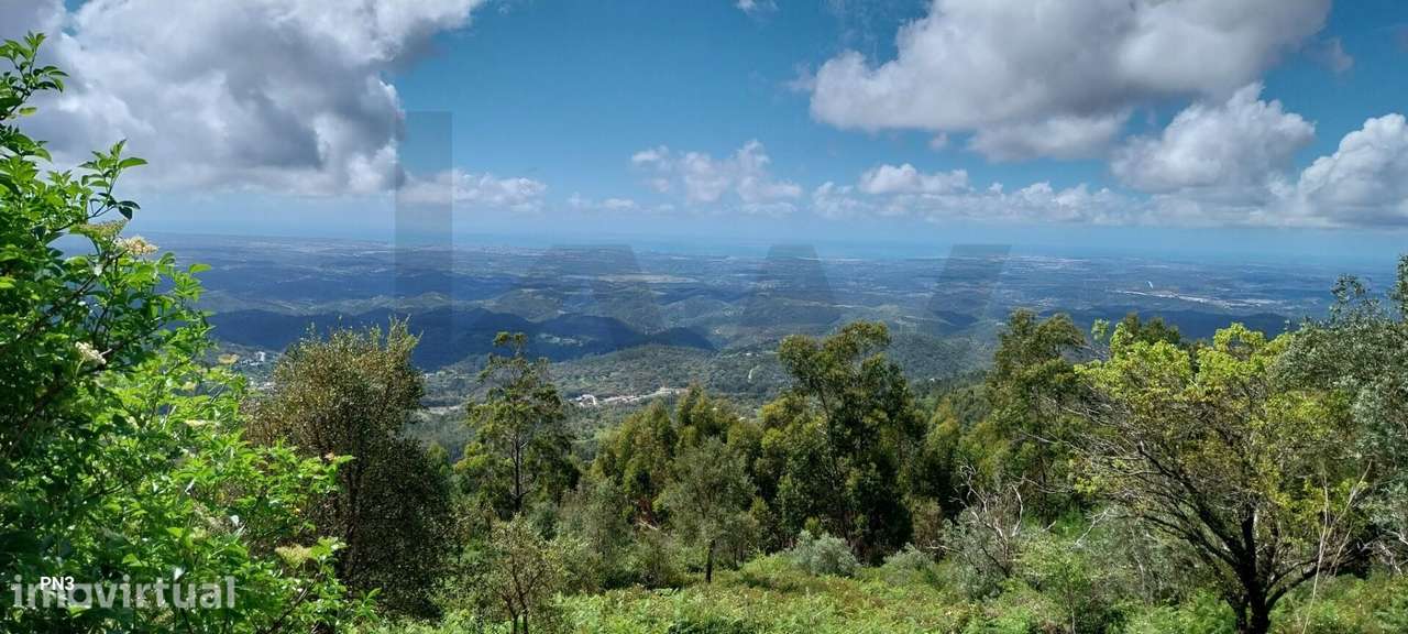 Terreno na Serra de Monchique 8.780 m2 - Grande imagem: 4/27