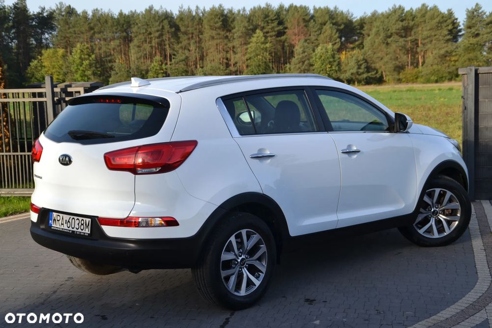 Kia Sportage 1.6 GDI Business Line L 2WD - 16
