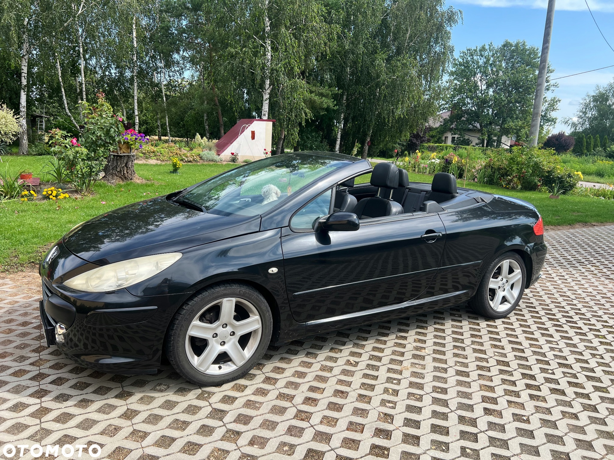 Peugeot 307 CC 2.0 - 14