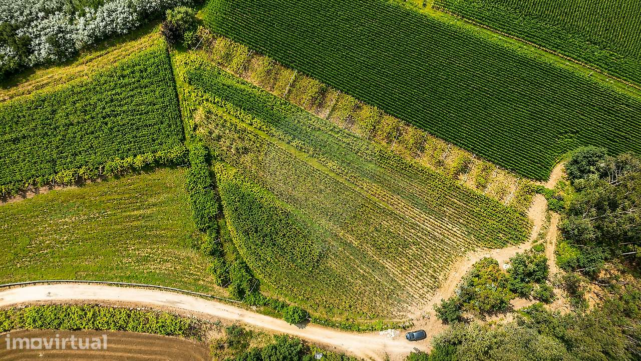 Terreno  para venda