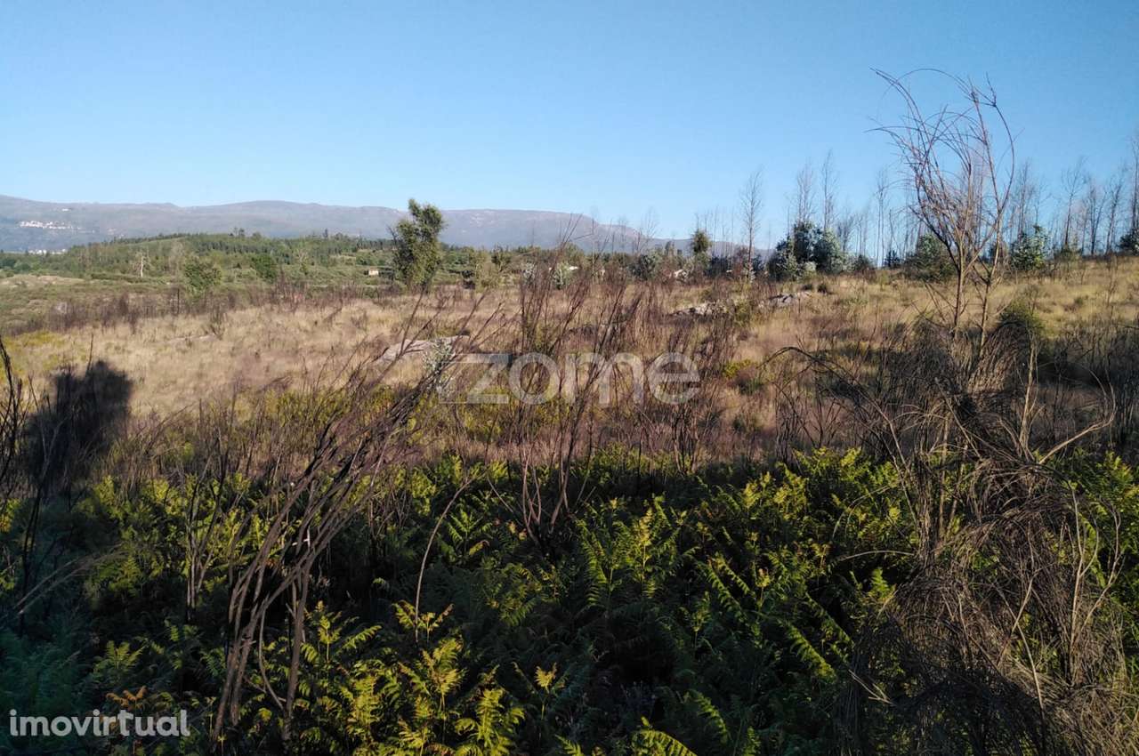 Terreno 8.533m2 em Sameice - Seia - Grande imagem: 5/21