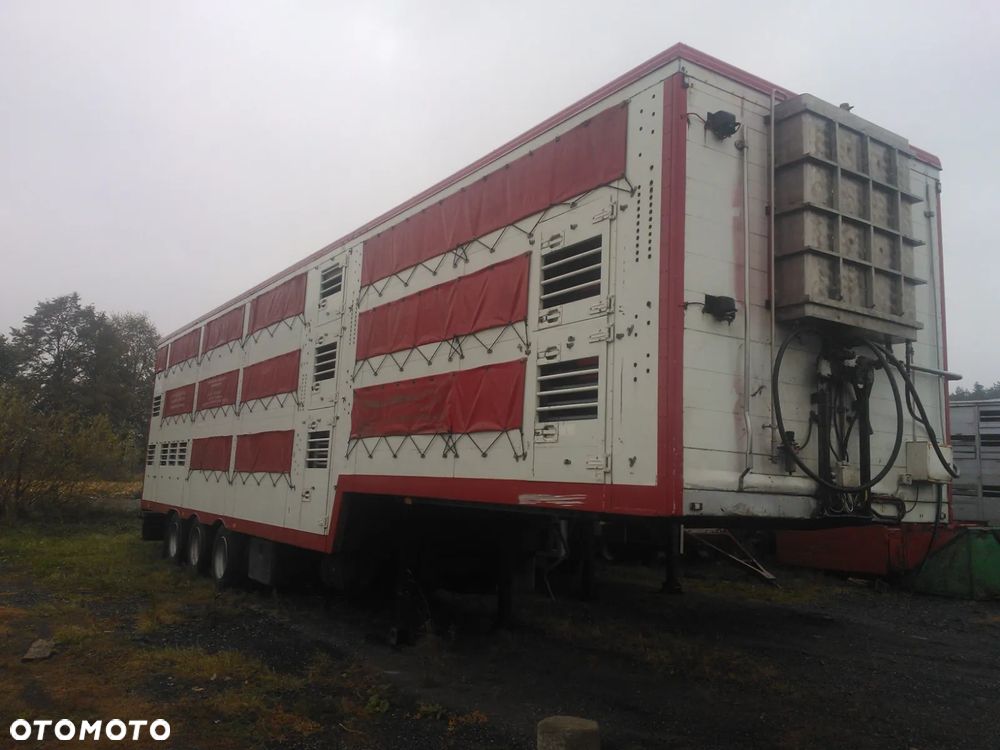 Zorzi 36s 136/19 LA - 1