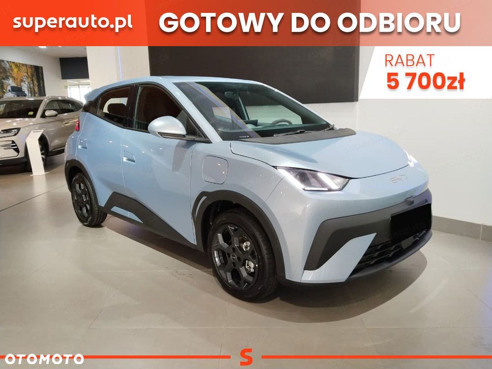 BYD Dolphin Surf - 1