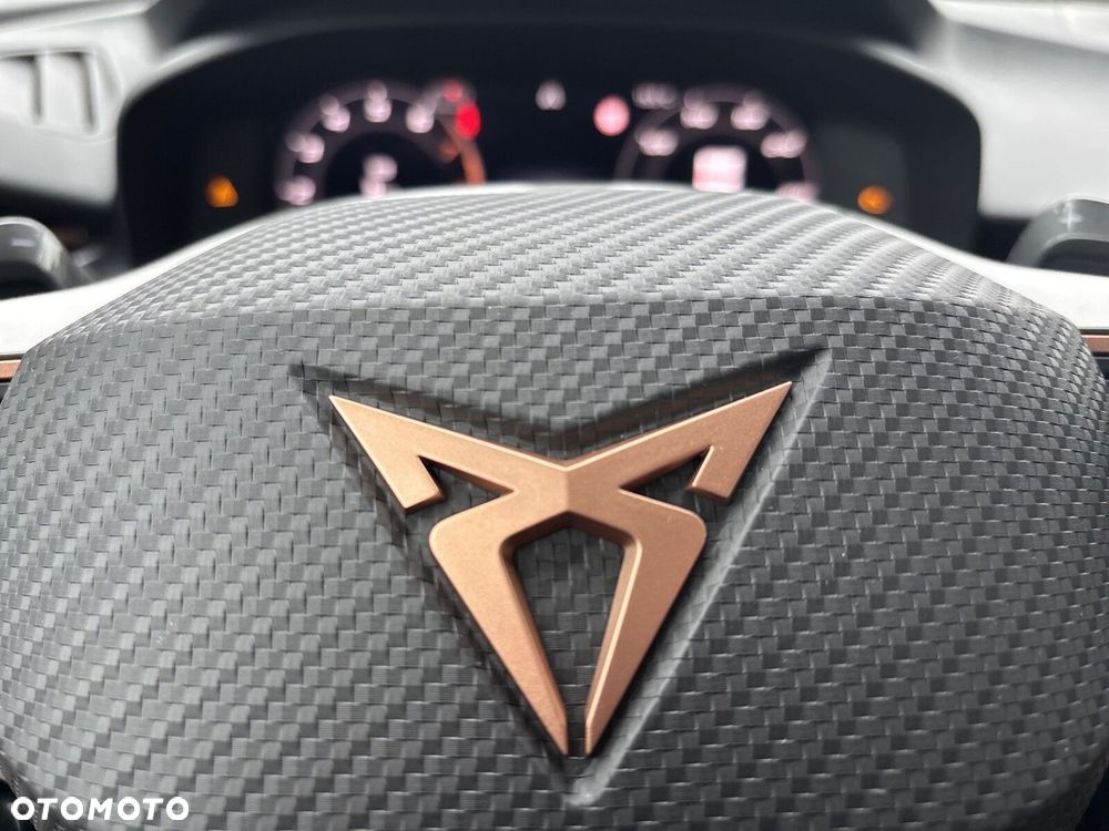 Cupra Terramar 2.0 TSI 4Drive Advantage Edition DSG - 23