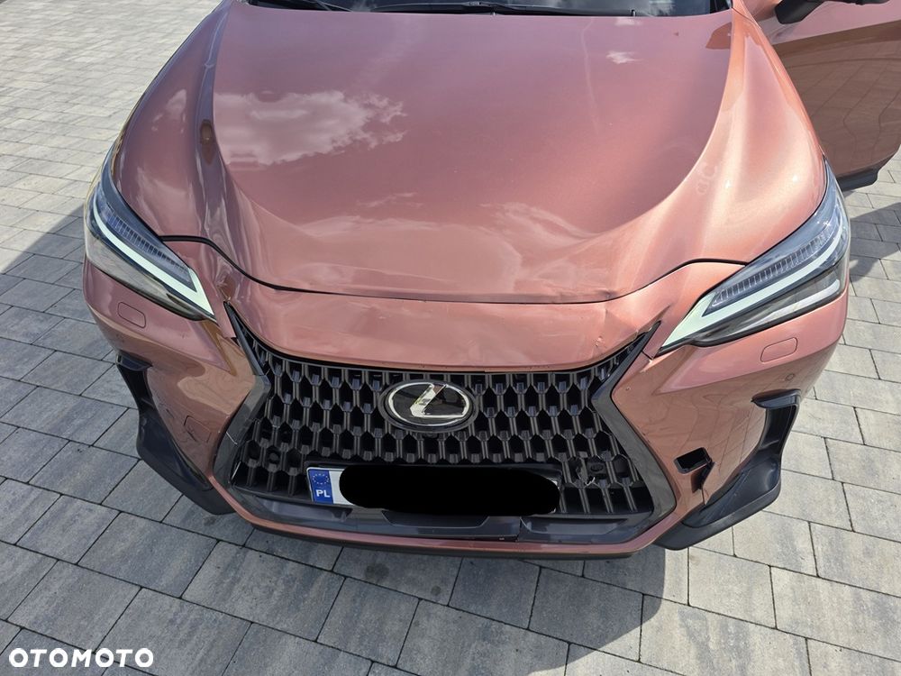 Lexus NX 350h Omotenashi AWD - 27