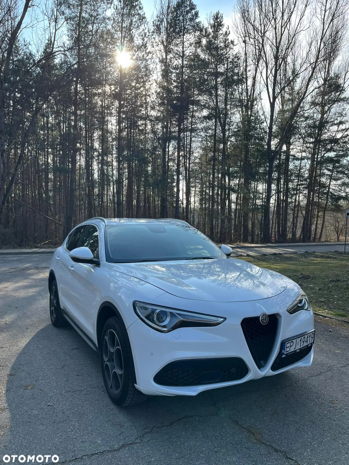 Alfa Romeo Stelvio 2.0 Turbo Executive Q4 - 8