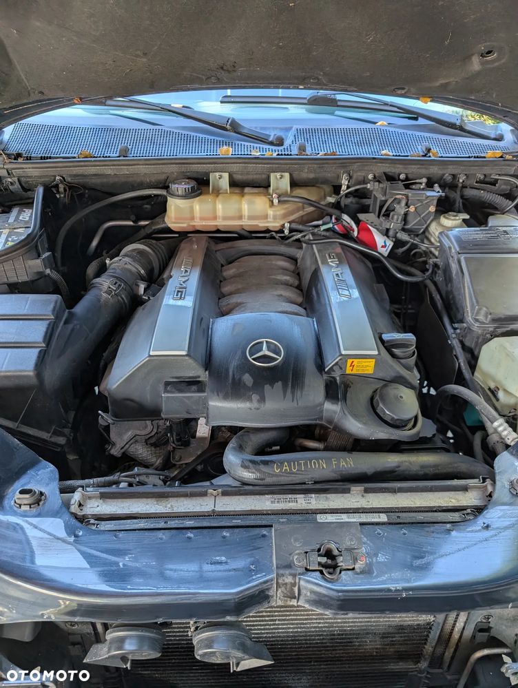 Mercedes-Benz ML 55 AMG - 19